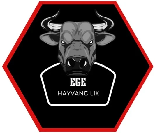 Besilik dana 6-10 aylık arası